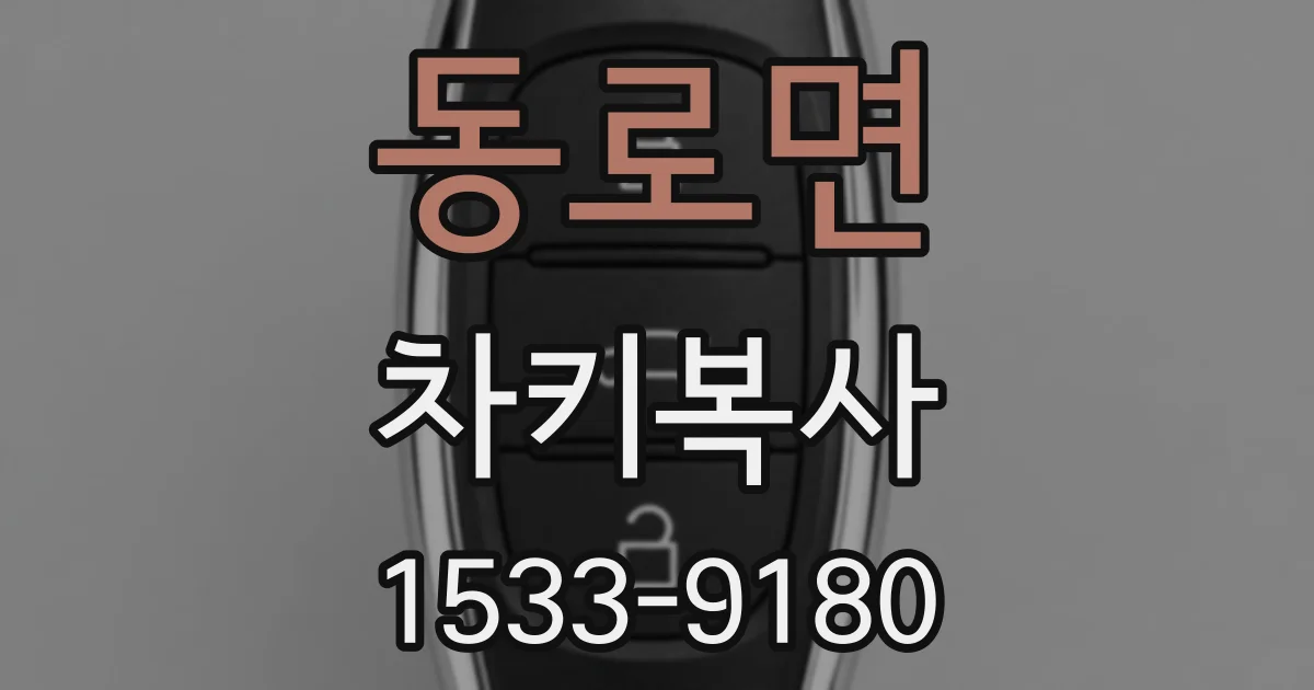 동로면 차키복사