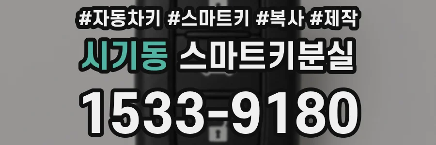 시기동 스마트키분실
