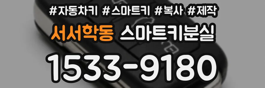 서서학동 스마트키분실