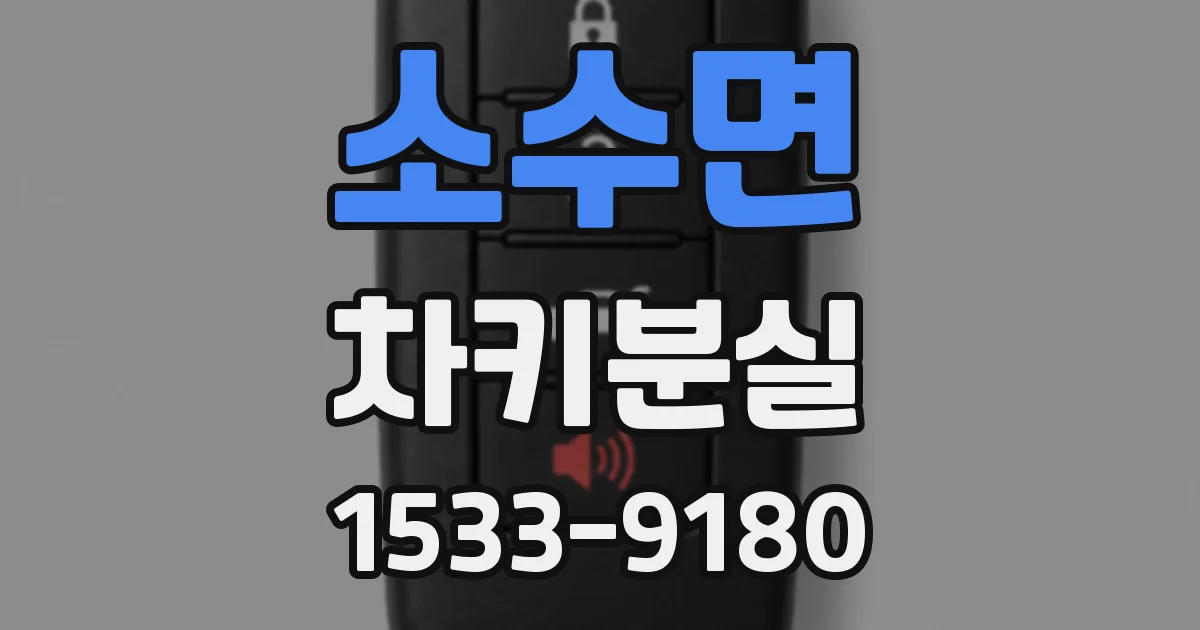 소수면 차키분실