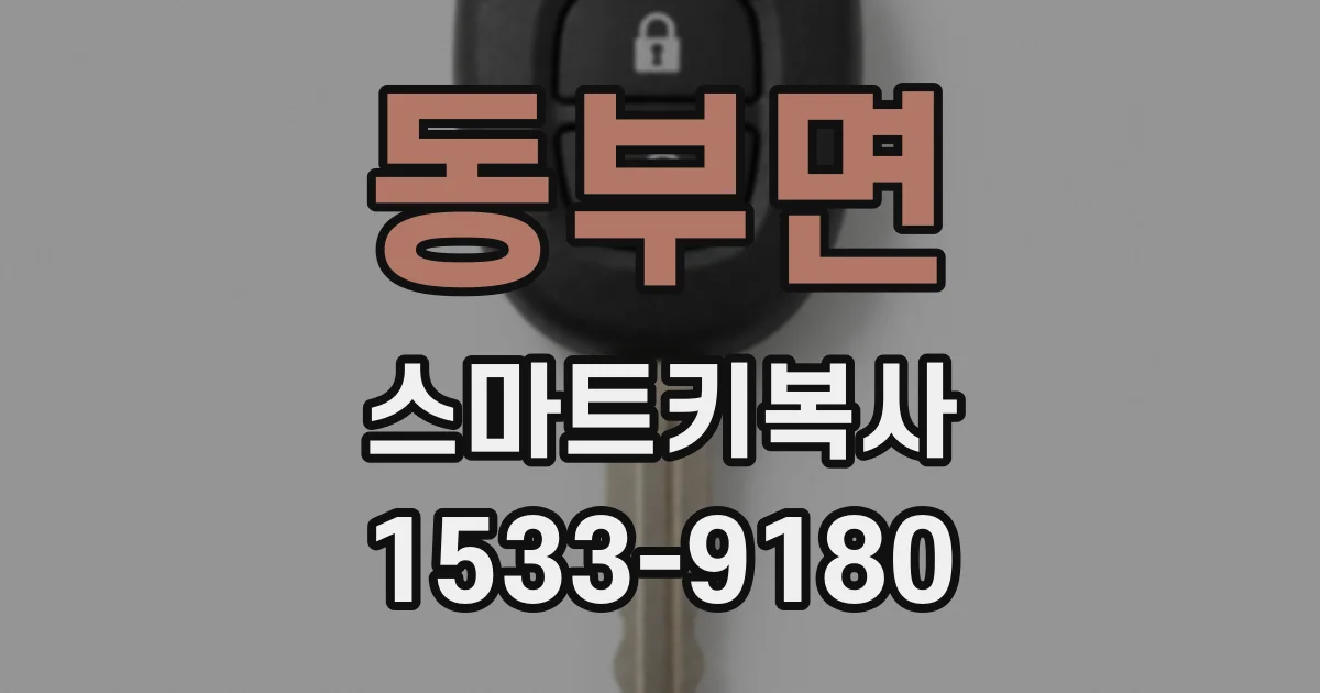 동부면 스마트키복사