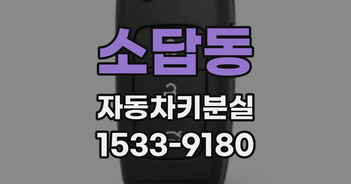 소답동 자동차키분실