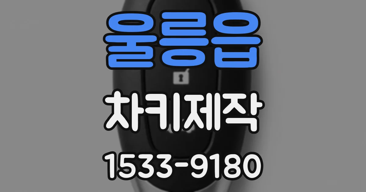울릉읍 차키제작
