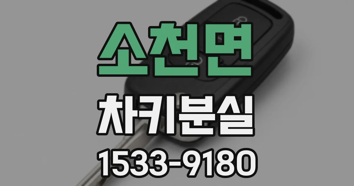 소천면 차키분실