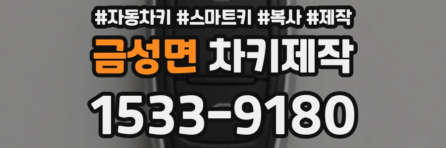 금성면 차키제작