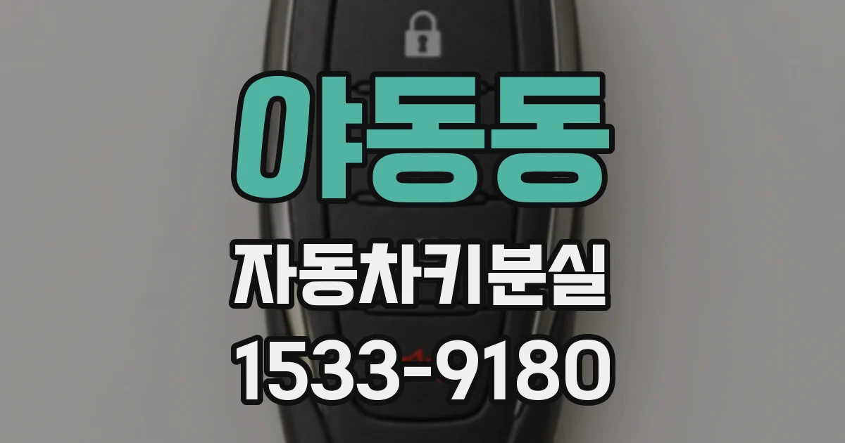 야동동 자동차키분실