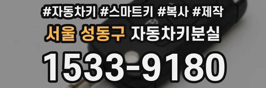 서울 성동구 자동차키분실