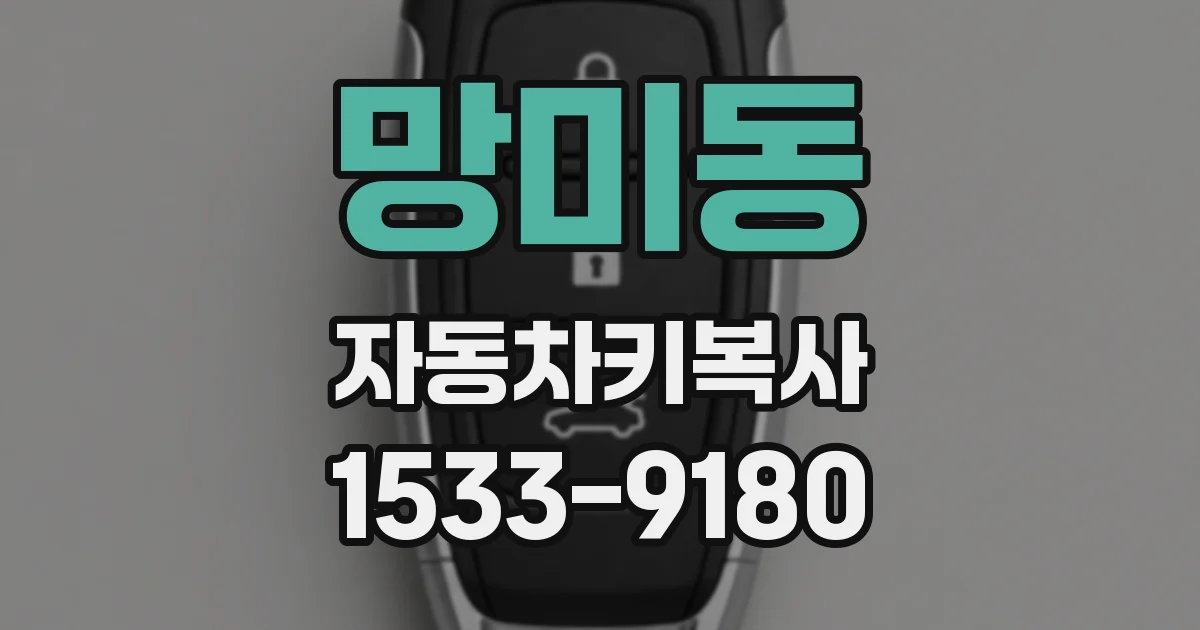 망미동 자동차키복사