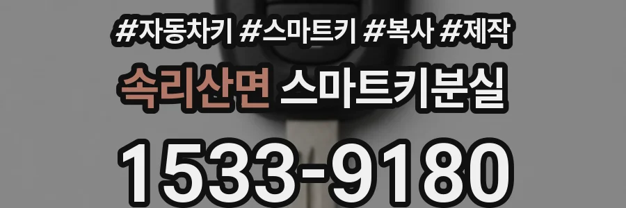 속리산면 스마트키분실