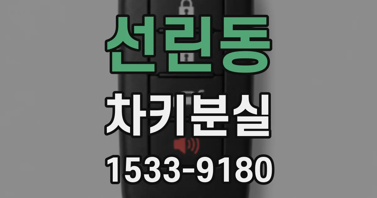 선린동 차키분실