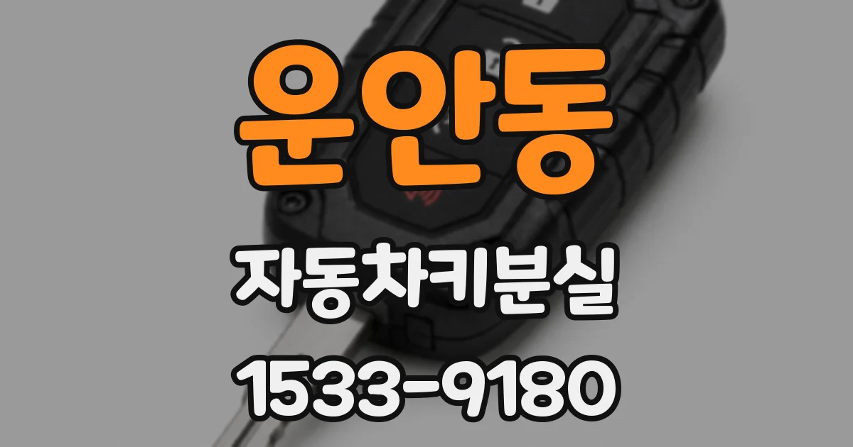 운안동 자동차키분실