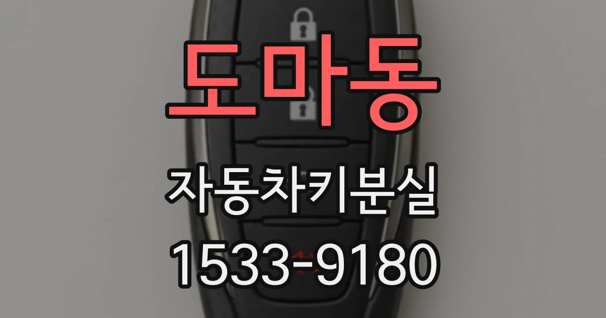 도마동 자동차키분실