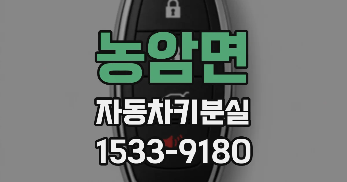 농암면 자동차키분실