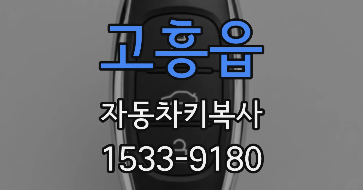 고흥읍 자동차키복사