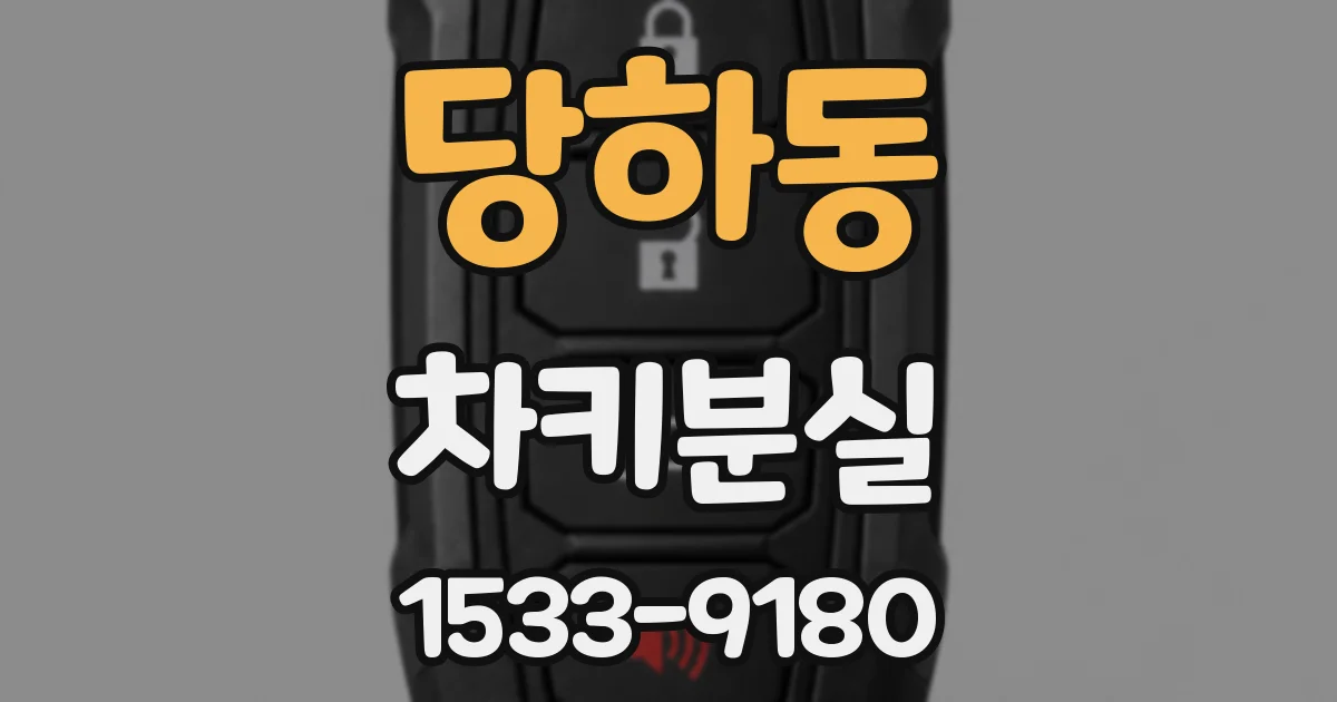 당하동 차키분실