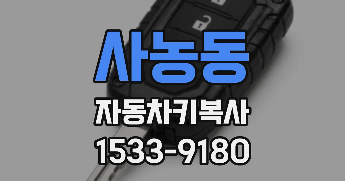 사농동 자동차키복사