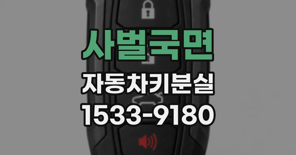 사벌국면 자동차키분실