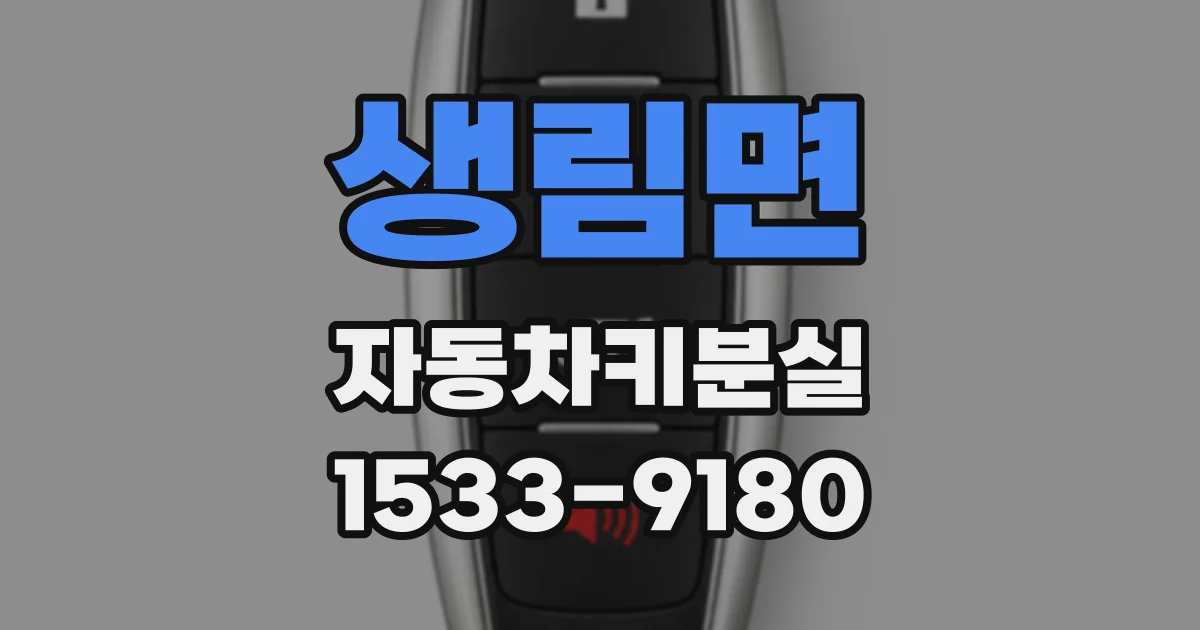 생림면 자동차키분실