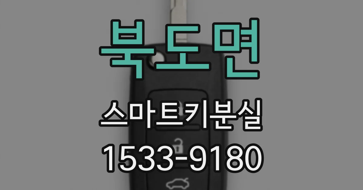 북도면 스마트키분실