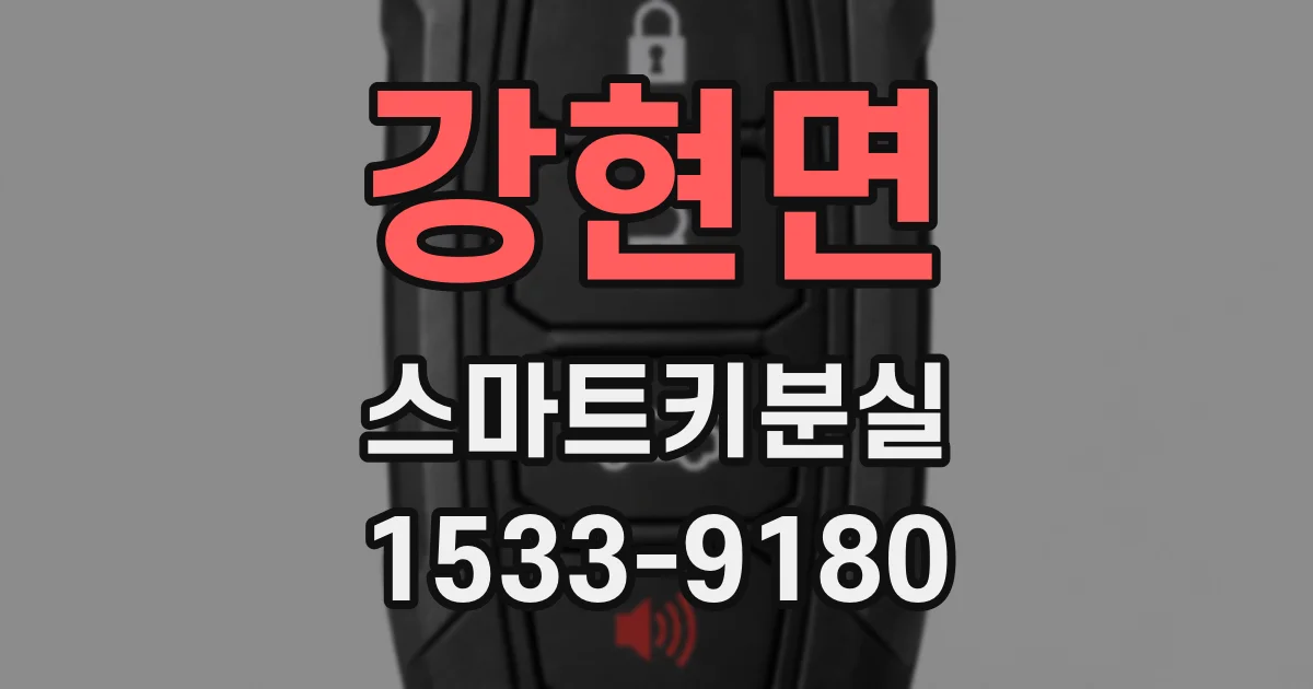 강현면 스마트키분실