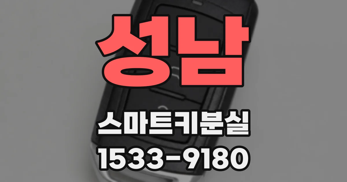 성남 스마트키분실