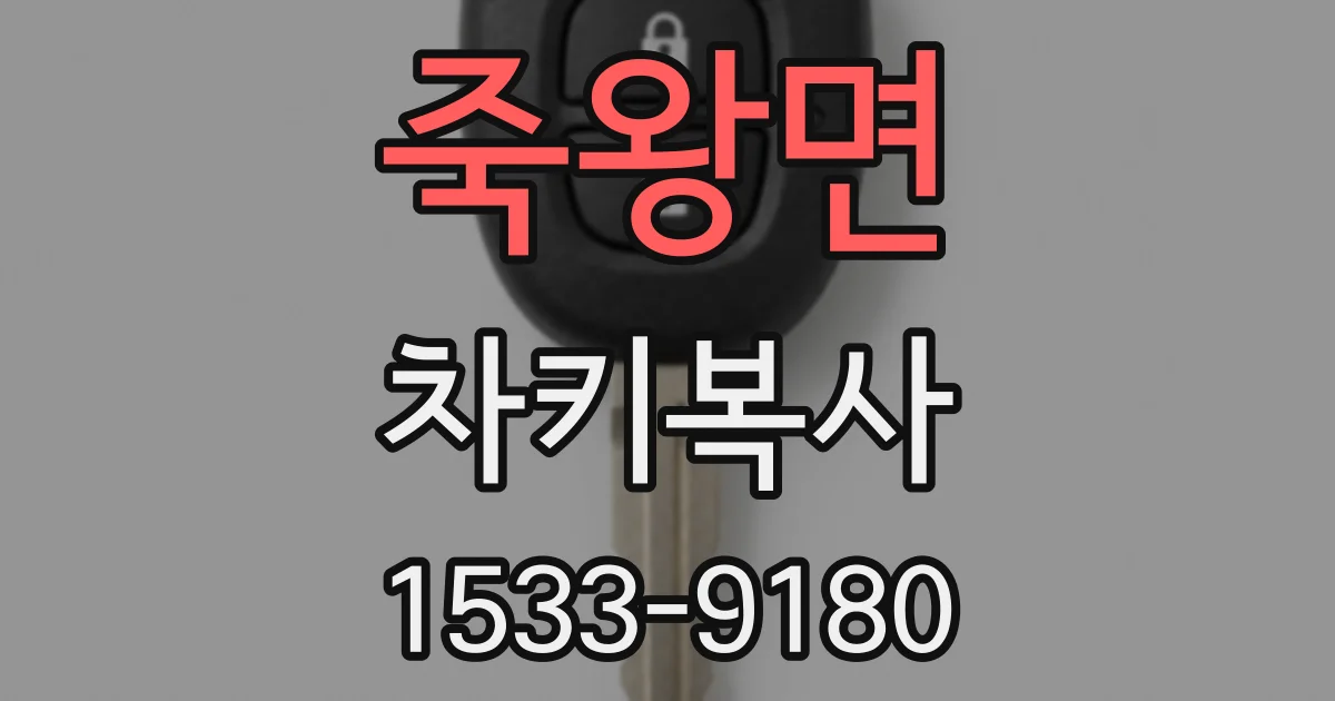 죽왕면 차키복사