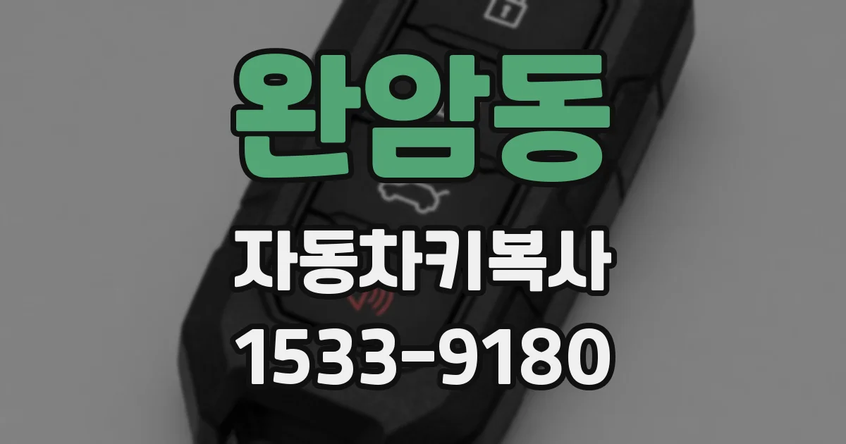 완암동 자동차키복사