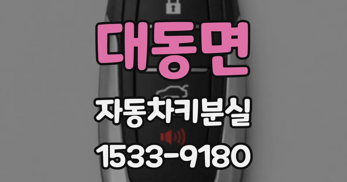 대동면 자동차키분실