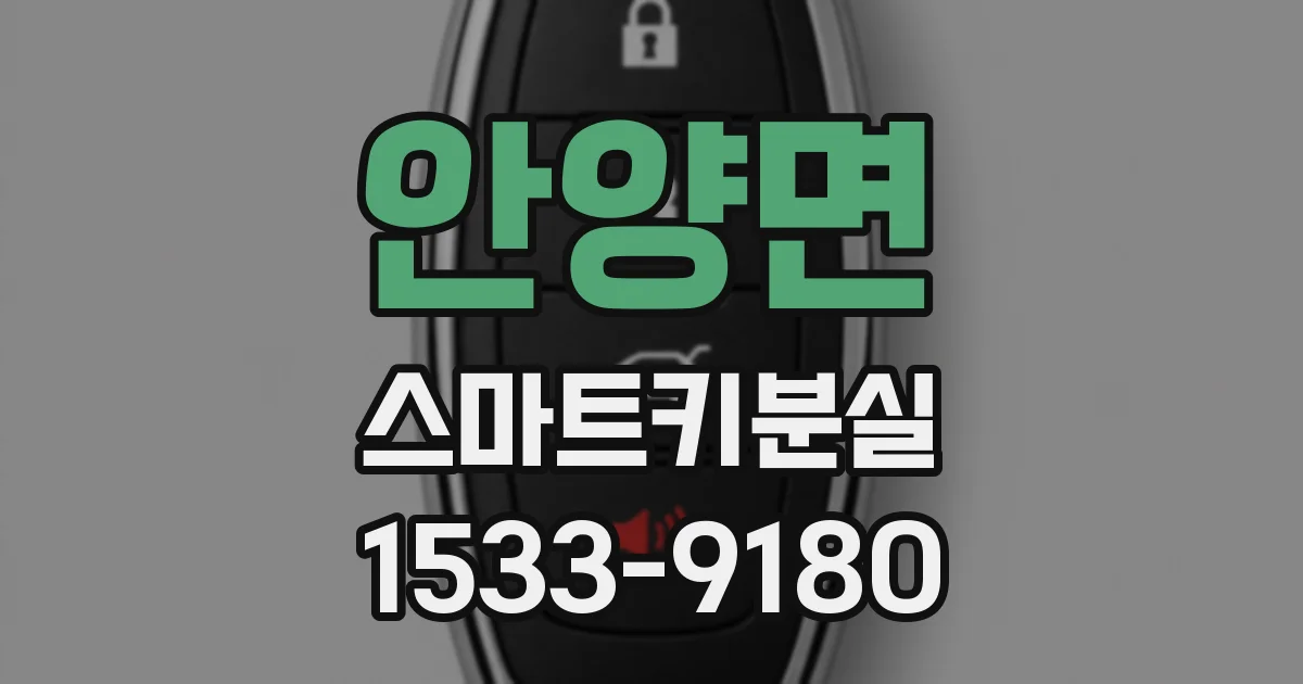 안양면 스마트키분실