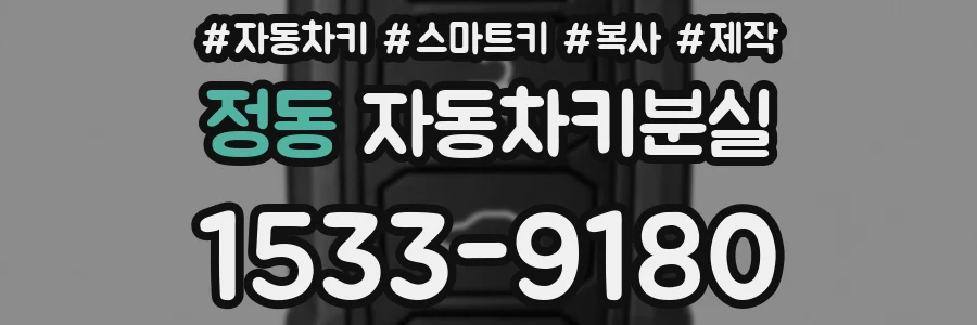 정동 자동차키분실