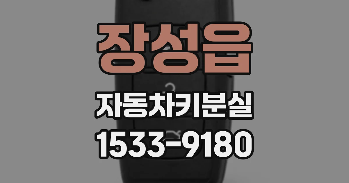 장성읍 자동차키분실