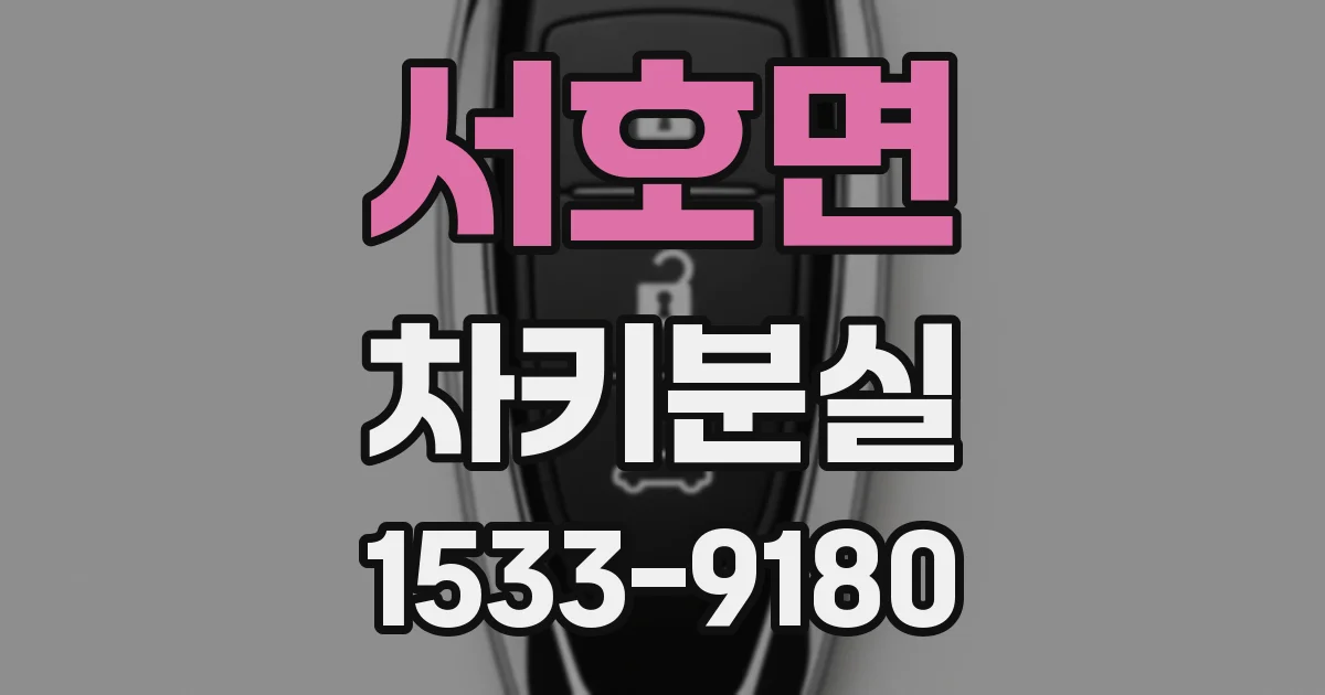 서호면 차키분실