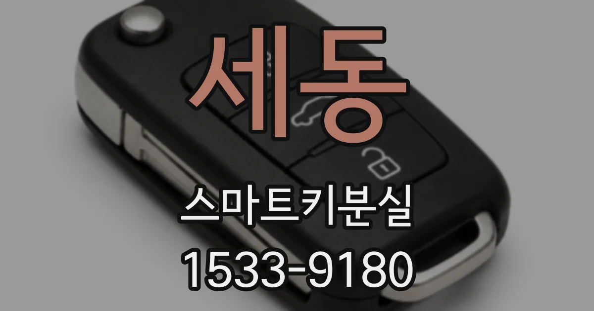 세동 스마트키분실