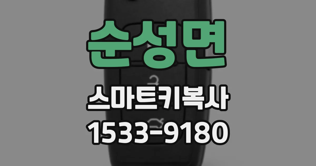 순성면 스마트키복사