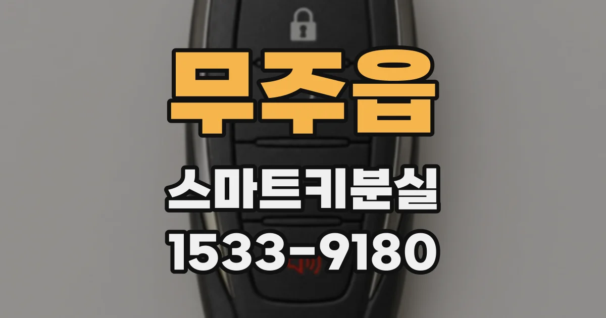 무주읍 스마트키분실