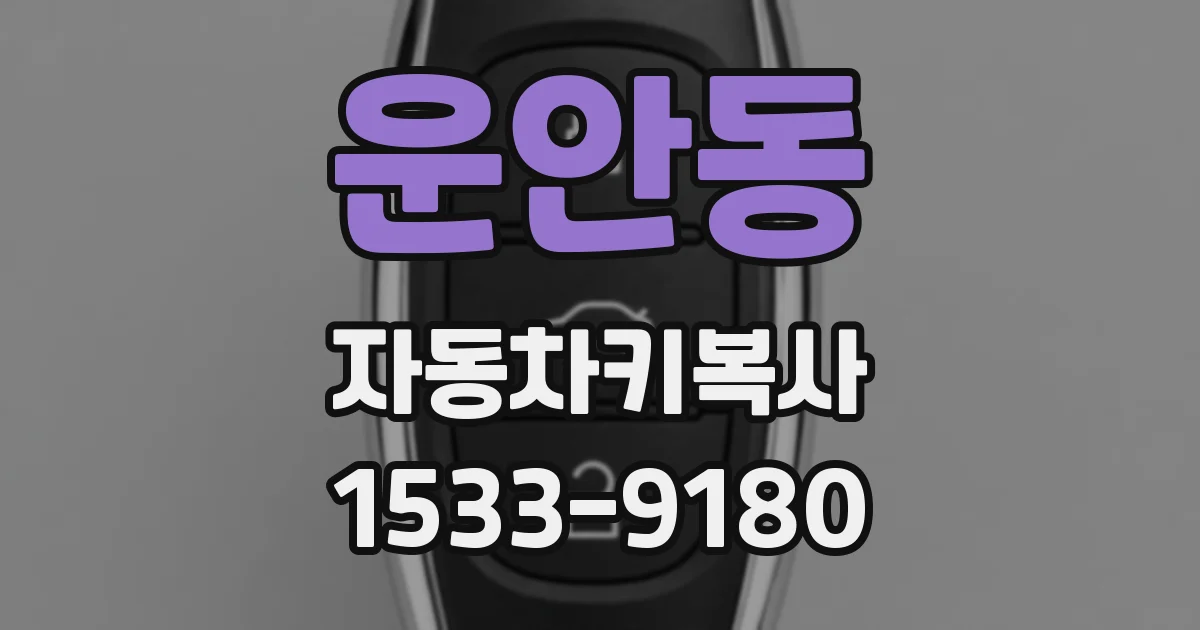 운안동 자동차키복사