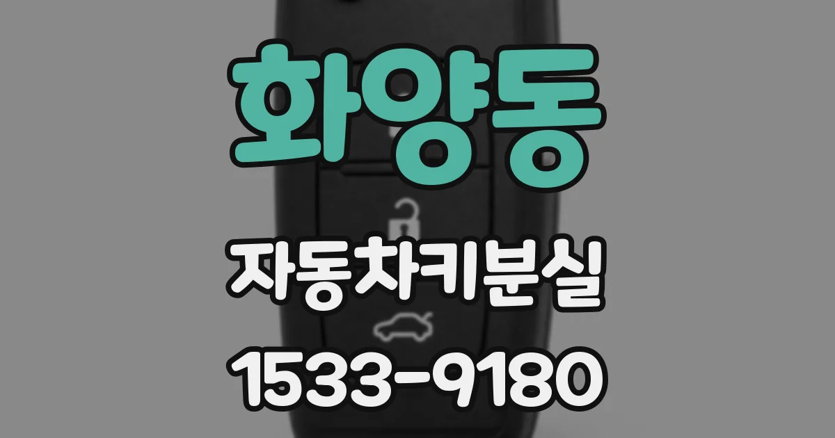 화양동 자동차키분실
