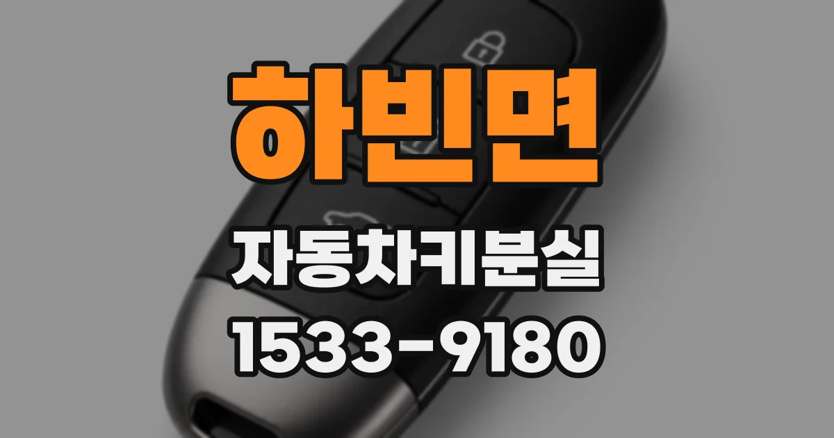 하빈면 자동차키분실
