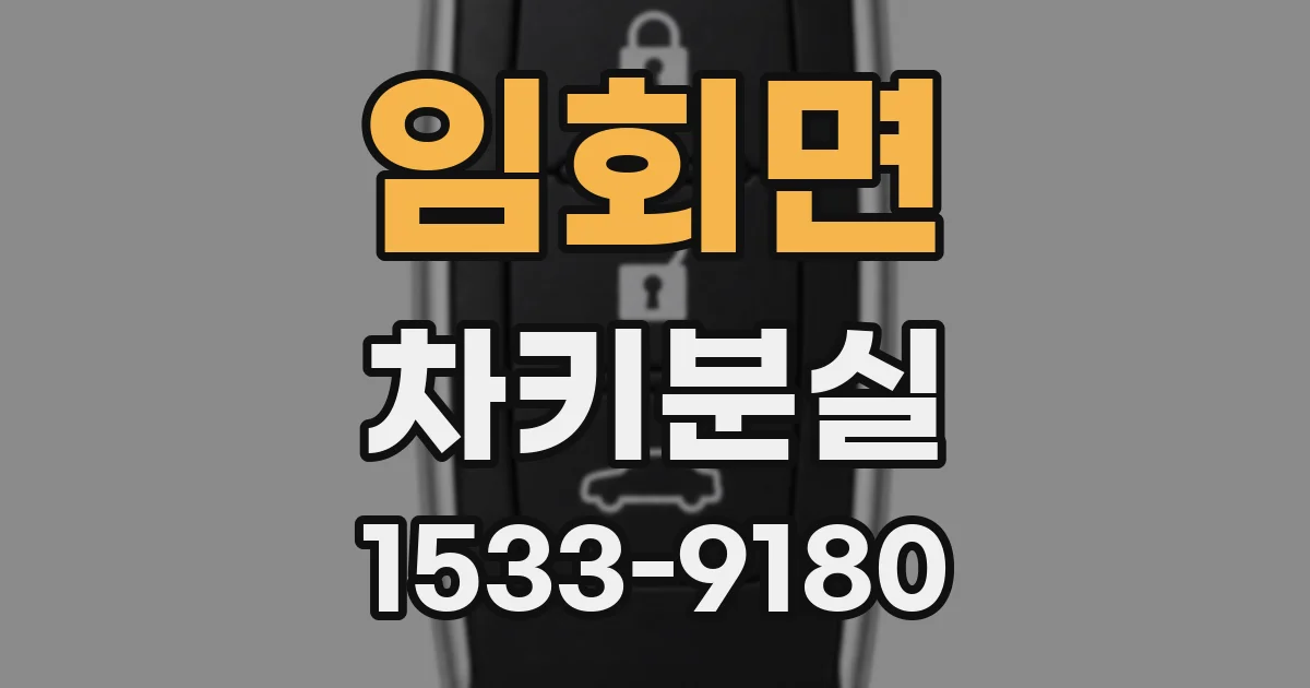 임회면 차키분실