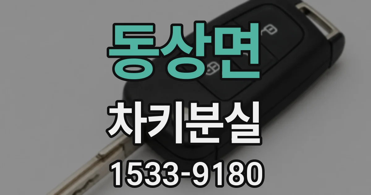 동상면 차키분실