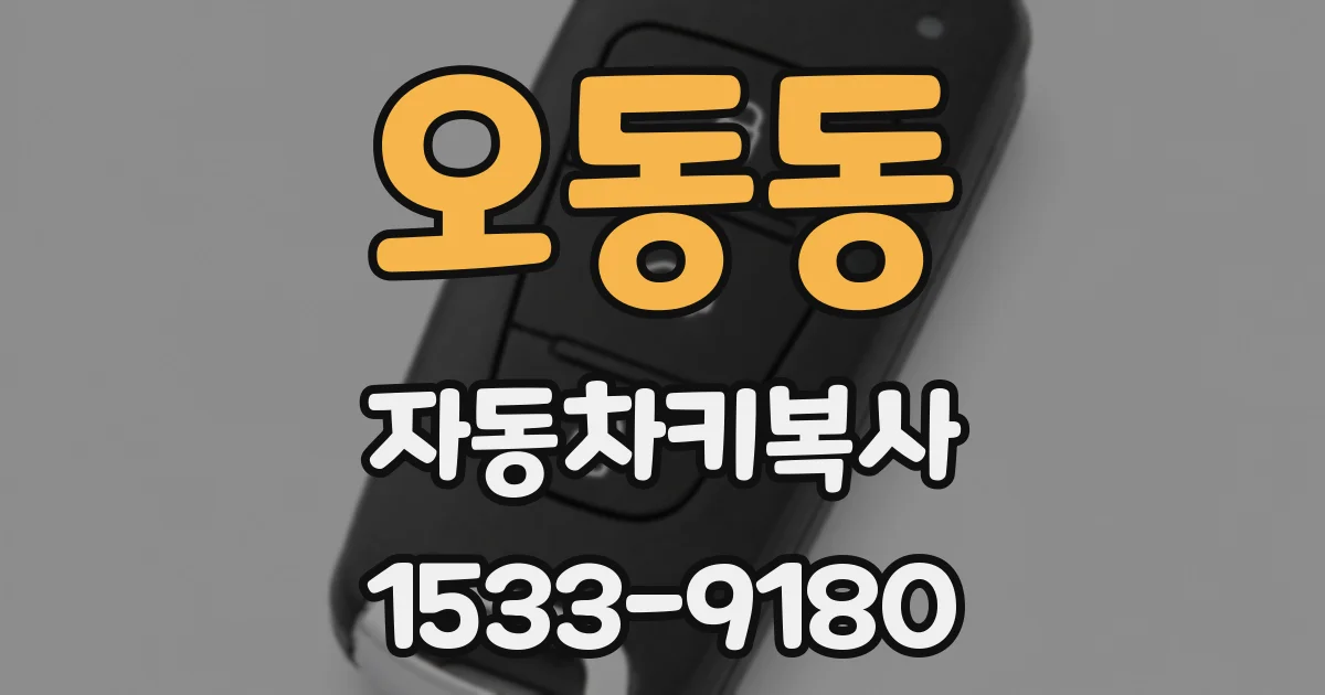 오동동 자동차키복사