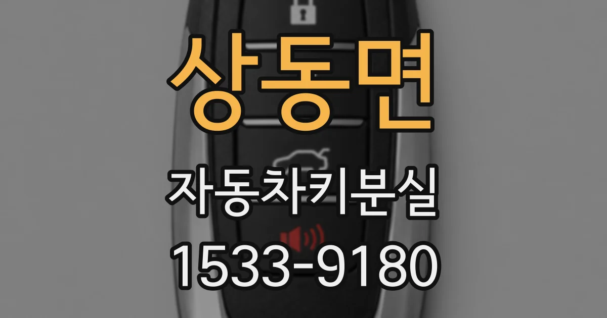 상동면 자동차키분실