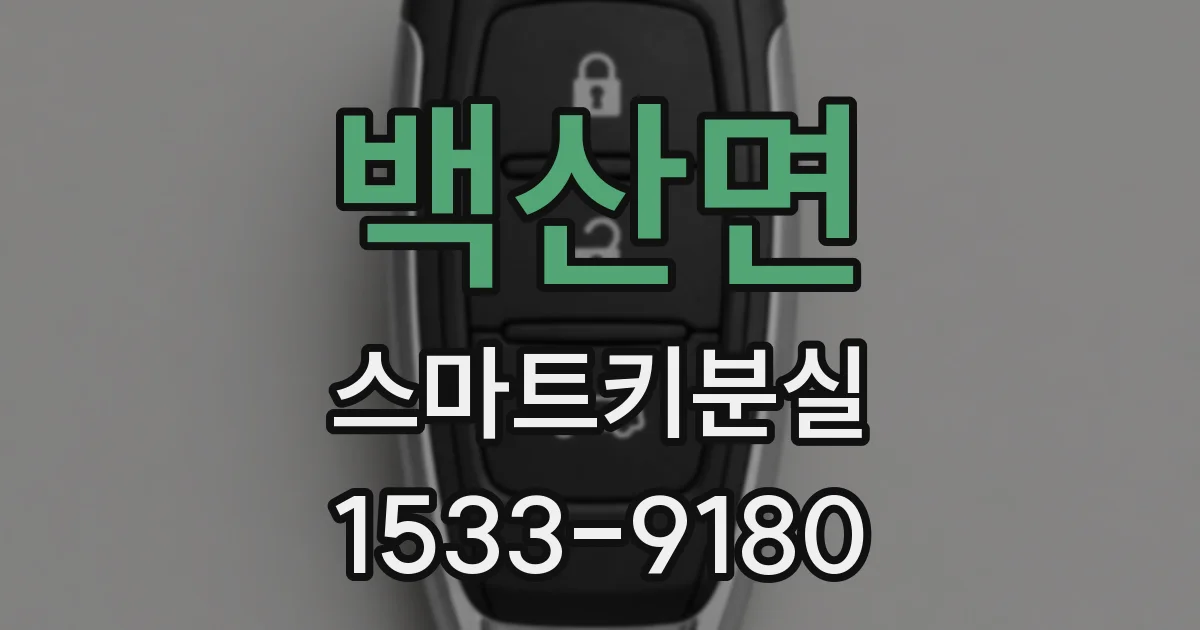 백산면 스마트키분실