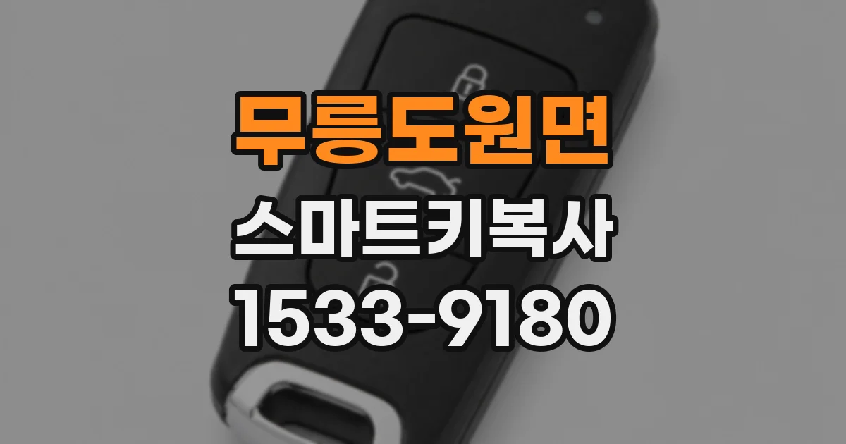 무릉도원면 스마트키복사