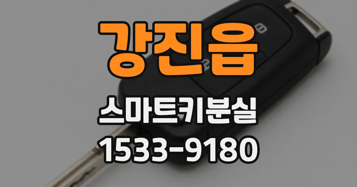 강진읍 스마트키분실