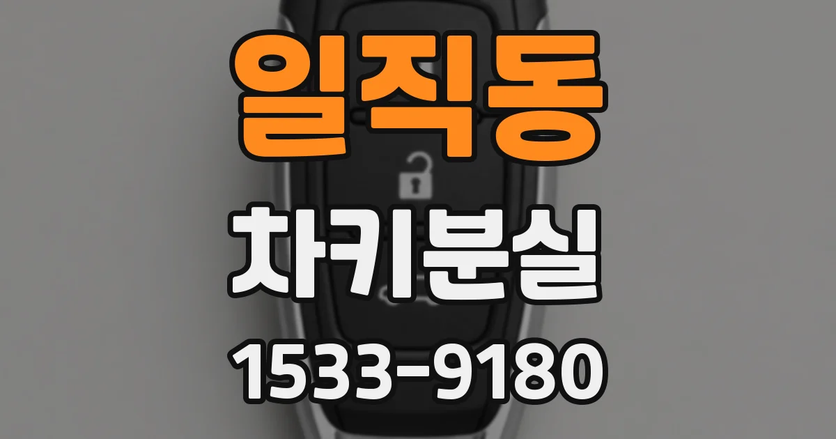 일직동 차키분실
