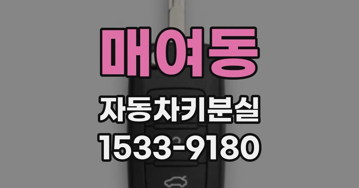 매여동 자동차키분실