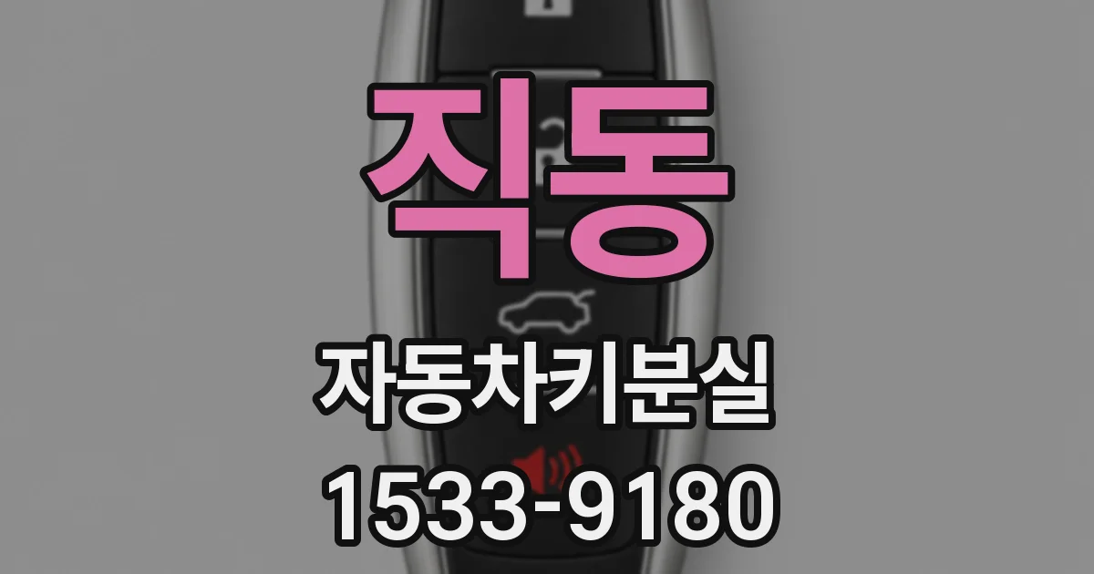 직동 자동차키분실