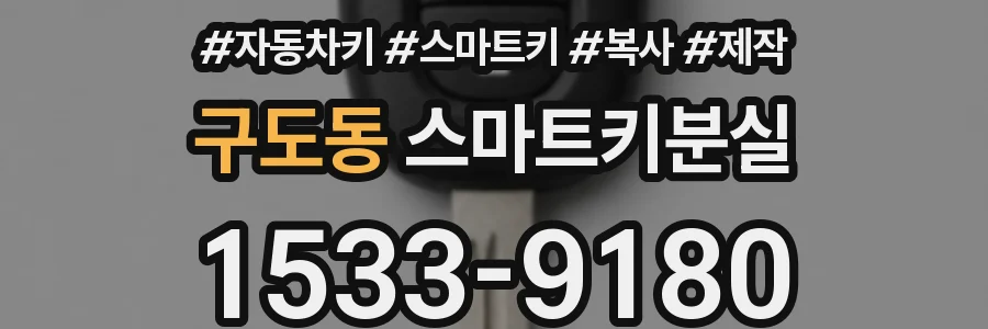 구도동 스마트키분실