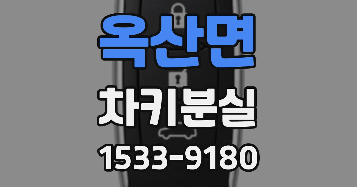 옥산면 차키분실